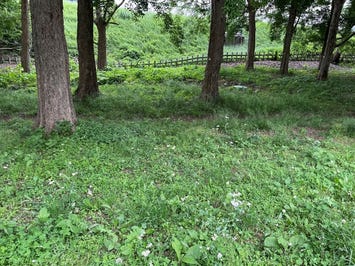 武蔵野森林公園