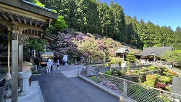 横峰寺