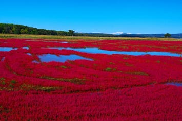 能取湖