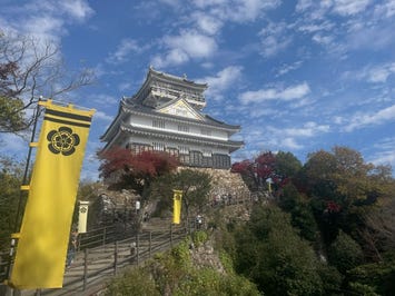 金華山