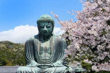 高徳院