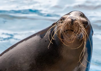 うみの杜水族館