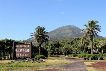 都立八丈植物公園