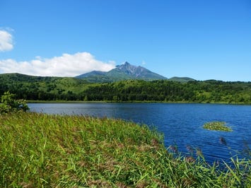 オタトマリ沼