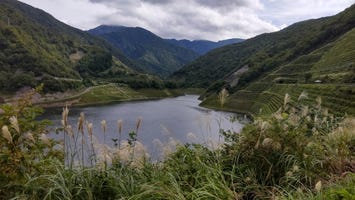 しゃくなげ湖