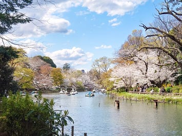 井の頭恩賜公園