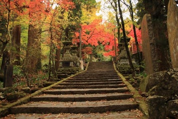 最乗寺