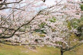 鏡山展望台