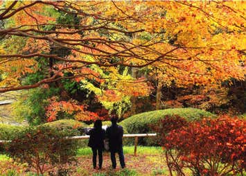 白野江植物公園