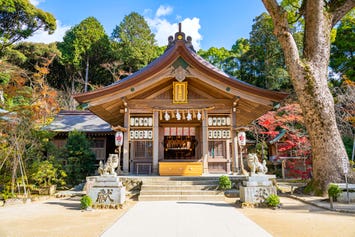 宝満宮竈門神社