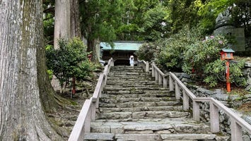 焼山寺