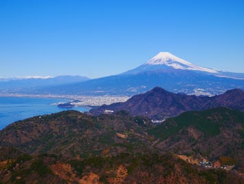 碧テラス