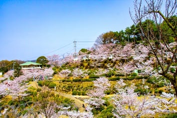 千光寺公園