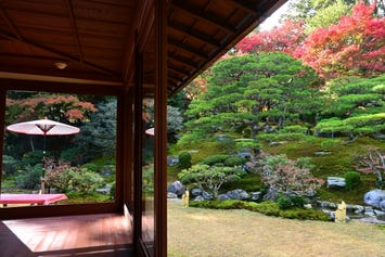 旧竹林院