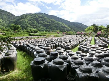 黒酢の郷 桷志田