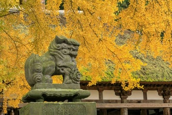 新宮熊野神社