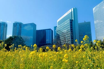 浜離宮恩賜庭園