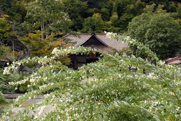 大聖寺