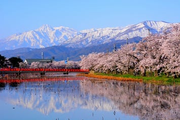高田城址公園