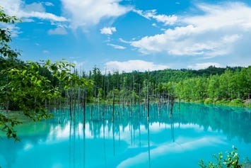 青い池