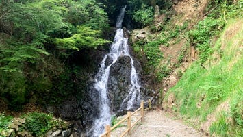 調音の滝