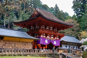 丹生都比売神社