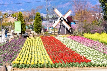 ハーブ庭園旅日記 勝沼庭園