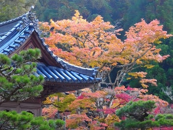 佛通寺