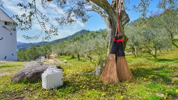 小豆島オリーブ公園