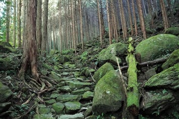八鬼山