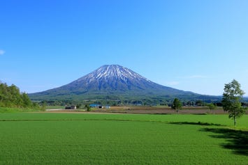 羊蹄山