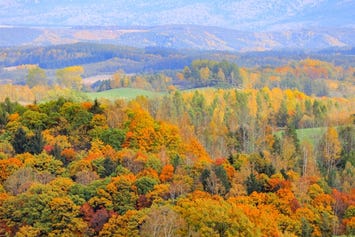 深山峠