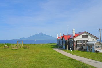 北のカナリアパーク