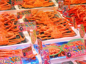 日本海さかな街