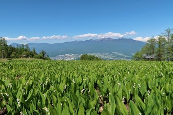 入笠山