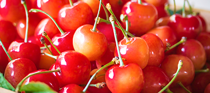 宮城発 人気の日帰り 宿泊果物狩りバスツアー一覧 バス比較なび