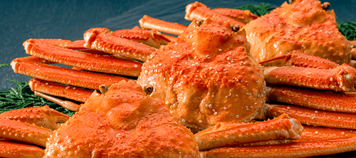 日帰り 宿泊バスツアーの人気格安プラン検索 バス比較なび