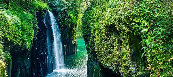 全国着 人気ランキング4 日帰り 自然・絶景・名勝地 バスツアー