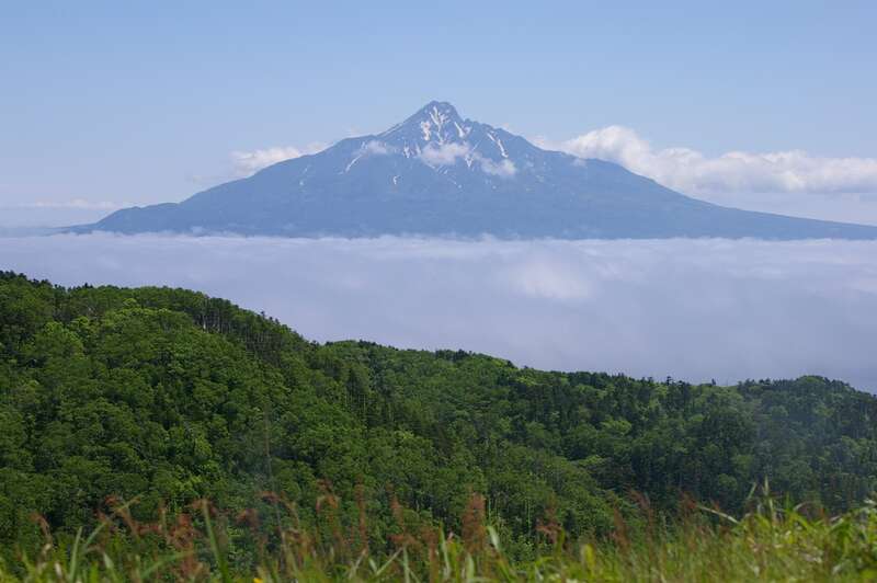【静岡・新富士・三島発】 往復・稚内空港便利用　春の利尻・礼文・稚内さいはて紀行３日間　８つのグルメ！毛がに・ずわいがに足・ほたて・たこ・いくら・ほっけ・蝦夷アワビ・宗谷牛3