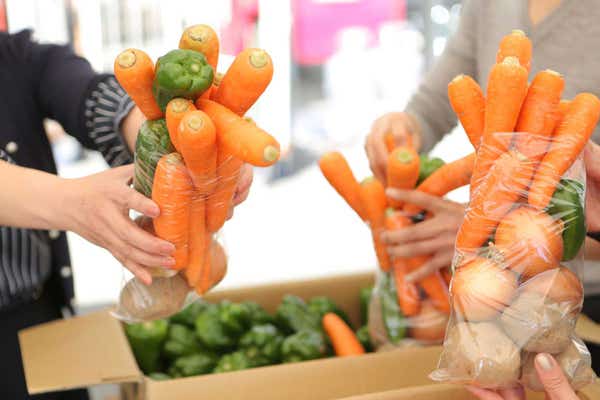 【新潟県内発】 秋の大収穫祭甲州巨峰狩りぶどう3種食べ比べ1