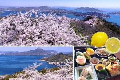 【広島駅新幹線口発着／日帰り】【18名様限定】小型バスで行く 　～ゆめしま海道～岩城島 積善山三千本桜と開山公園