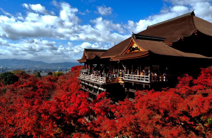 [難波/梅田発]随所にダルマ人形がいる「勝尾寺」を満喫、「嵐山」を散策、世界遺産「清水寺」を拝観！最高級和牛を使用した「神戸牛しゃぶしゃぶ」ランチ付き！抹茶体験付き(英語ガイド・京都/難波降車)3