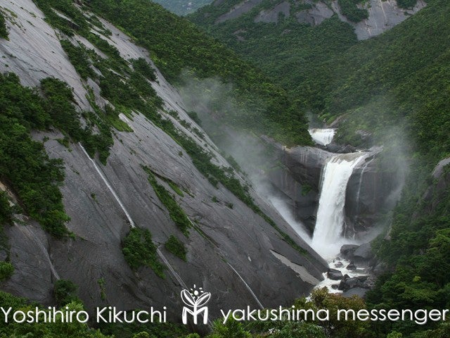 ■往復航空機利用で行く世界遺産「屋久島」≪フリープラン≫民宿あらき　3泊4日2