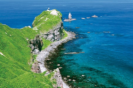 【大分空港発着】小樽・函館・積丹半島・富良野・美瑛 一度は行きたい絶景を訪ねる 北海道5日間　4泊すべて当社基準最上級Sランクホテルにご宿泊3