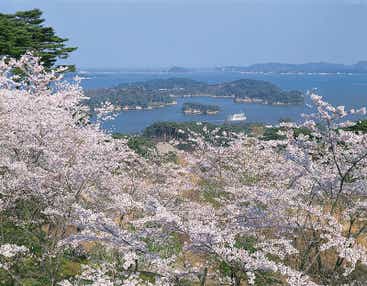 【徳島空港発】 《神社仏閣》桜舞う！  みちのく古寺巡礼 四寺廻廊  ～世界遺産 中尊寺・毛越寺・瑞巌寺・立石寺～（３日間）
