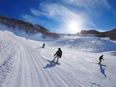 ■●【海老名発着】朝発日帰り 奥利根スノーパーク【滞在約6時間】