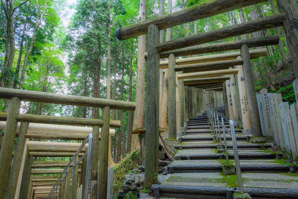 【大阪府内発】 弘法大師ゆかりの立里荒神と高野山奥の院巡り　日帰り3