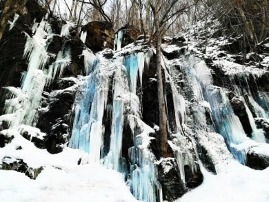 ＜山歩き旅行＞樹氷の八甲田山と奥入瀬渓谷スノーシュー＆冬の風物詩「ストーブ列車」 3日間（青森）2