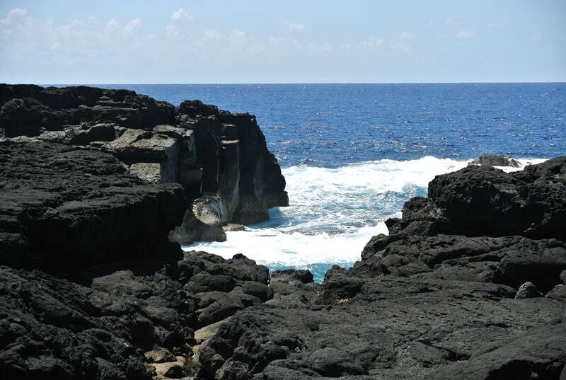 【米子空港発】 東京亜熱帯　八丈島３日間3