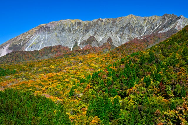 【三沢空港発】 神秘の隠岐の島・霊峰大山2大絶景と出雲大社・足立美術館・鳥取砂丘(4日間）2